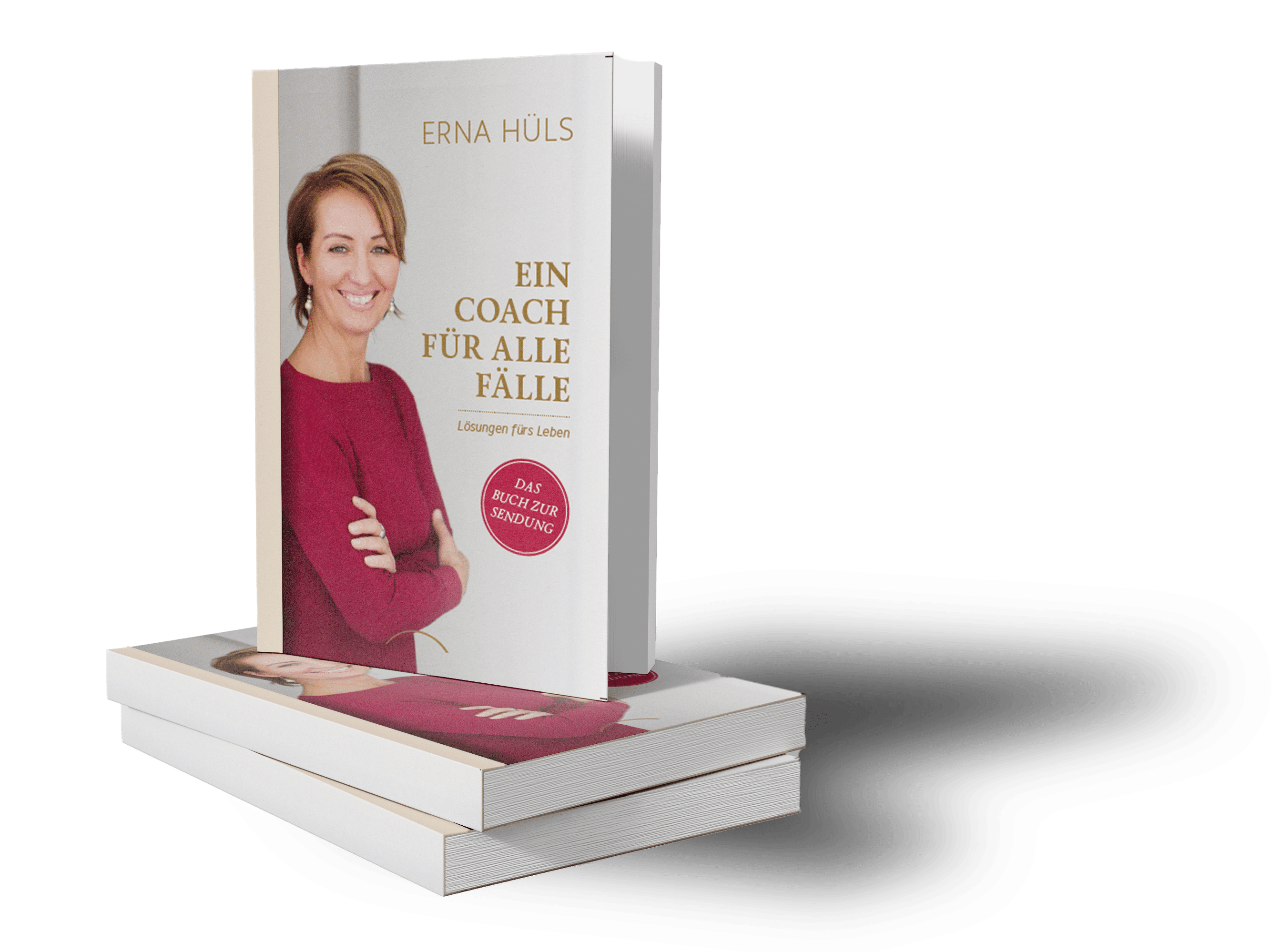 Ein MockUp / Simulation von dem Buch " Ein Coach für alle Fälle" von Erna Hüls